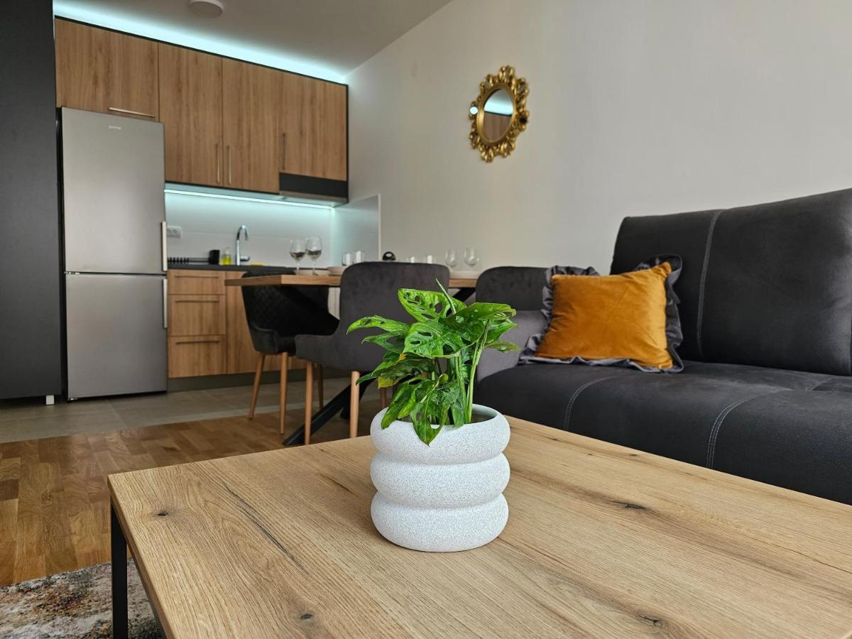 Sun&Moon Apartments ノヴィ・サド エクステリア 写真